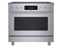 Industrial Style Induction Range