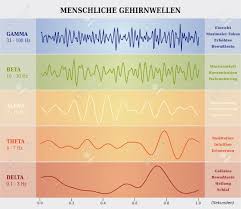 Human Brain Waves Diagram Chart Illustration In German