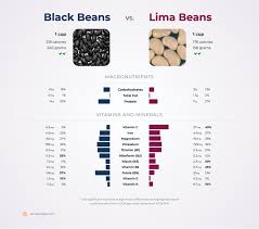 black beans vs lima beans