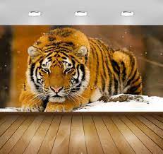 Awi1918 Tiger Full HD 3D Wallpaper ...