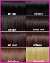 Shades Of Chocolate Brown Hair Color 365365 Beautiful Dark