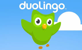 Image result for duolingo