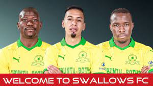 The swallows were formed in 1947 and dominated the soccer world in south africa in the '50s and '60s, winning their most outstanding achievement ever in this time., the south african league title in 1965. Psl Transfer News Mamelodi Sundowns Offer 5 Players To Swallows Fc Youtube