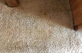 carpet cleaning services in newnan