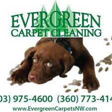 evergreen carpet cleaning 24 reviews