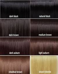Beautiful Dark Brown Hair Color Chart Breauty Brown Hair
