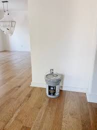 ppg timeless paint review home