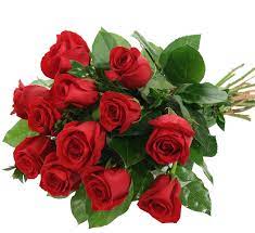 We did not find results for: Italy Flower Delivery Send Flowers To Italy Canada Flowers Ca