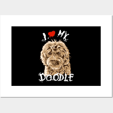 goldendoodle posters and art prints
