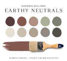 Moody Earth Tones Paint Sherwin