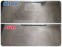 hypoallergenic carpet cleaning safe