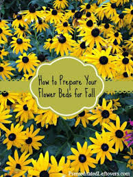 to prepare your flower beds in the fall