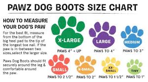Pawz Dog Boots Dog Boots Dogs Dog Paws
