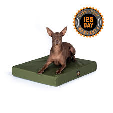 When choosing a bed for your dog, it is a good idea to look for a bed that will provide your dog comfort not only are these materials highly chewable, they are also not built to withstand the chewing. Solid Color Gorilla Ballistic Tough Orthopedic Dog Bed Gorilla Dog Beds