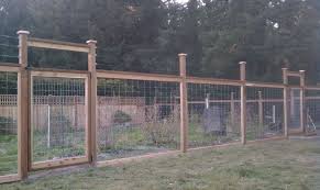 Diy Garden Fence