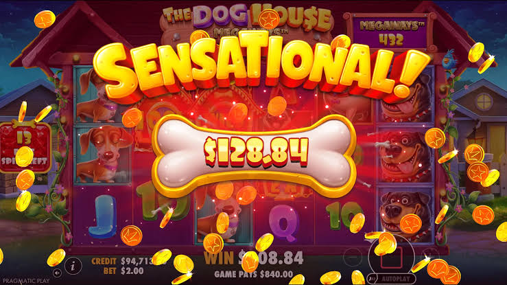 Обзор The Dog House Megaways 1000