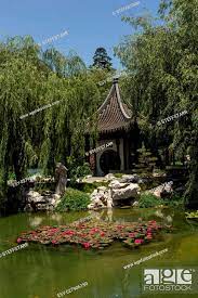 Chinese Botanical Garden With A Pond