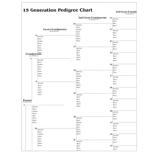 15 Generation Pedigree Chart Deseret Book