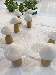 Diy Mushroom Garden