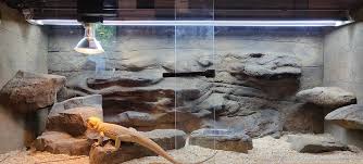 Reptile Aquarium Tank Supplies