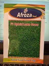 carpet gr seeds intact packet