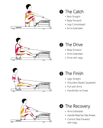 for rowing workout beginners