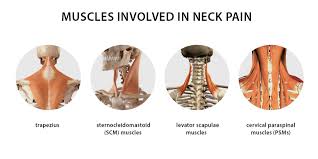 tension in your neck and shoulders