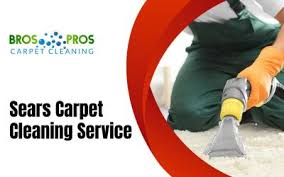bros web editor bros pros carpet cleaning