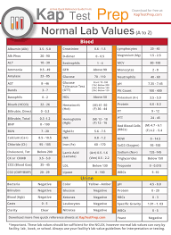 Blood Pressure Chart Template Meticulous Blood Test Pdf