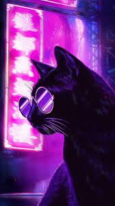 Cat Black Cat Eyes Dark Hd Phone