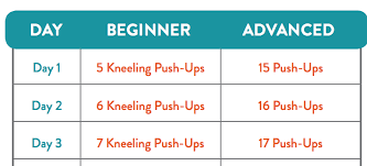 28 day push up challenge for beginners