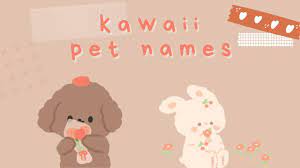 aesthetic kawaii pet names ʕ ᴥ ʔ