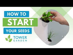 Start Seeds And Transplant Seedlings On