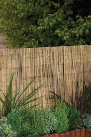 Nature Reed Fern Fence Reed Fence