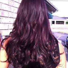 Long Violet Brown Hair Pravana Violet Brown Hair Dark