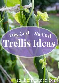 low cost no cost garden trellis ideas