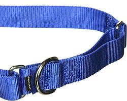 PetSafe Martingale Collar, 1" Large, Royal Blue