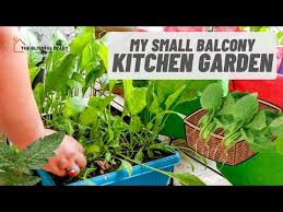 Kitchen Garden Veggies Greens
