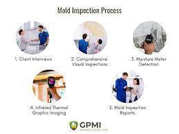 mold inspection vs mold testing