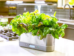 aerogarden harvest garden system w