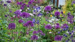 what to plant in september our top 14