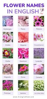 59 pretty flower names in english with