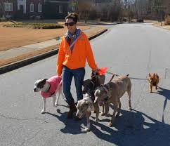 Pet Sitter Bios Professional Dog Walking And Pet Sitting In Lilburn Ga