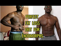 fat loss t for endomorphs