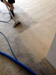 boise carpet cleaning professional