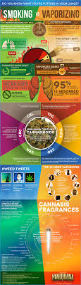 Each provider cbd vape oil? Smoking Cannabis Vs Vaping It Daily Infographic
