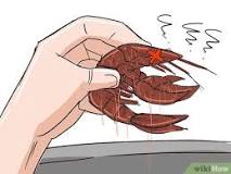 Why do you purge crawfish?