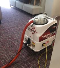 the best carpet cleaning arundel