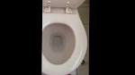 Flush toilet - 