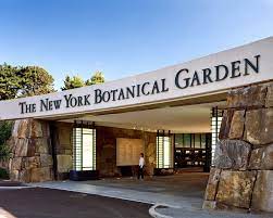 the new york botanical garden visitor